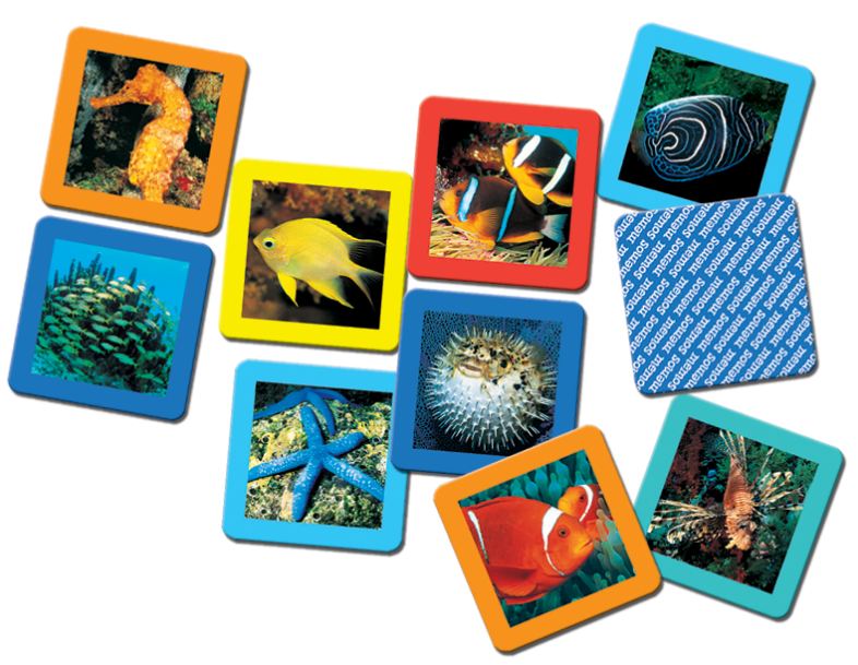 TREFL 00799 GRA MEMOS RAFA KORALOWA