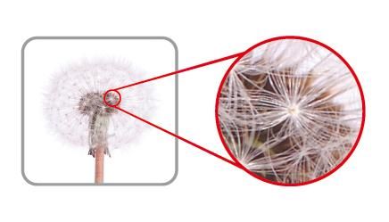 WW6506 Kieszonkowy mikroskop NOWOSC