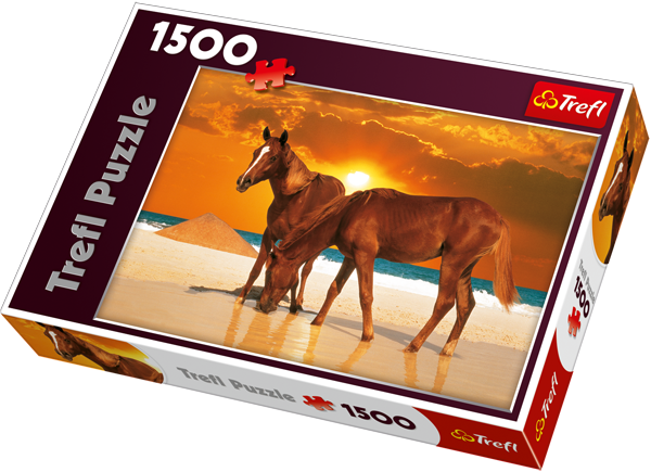 TREFL 26093 RUMAKI NA PLAZY 1500 el