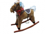 KONIK NA BIEGUNACH 099